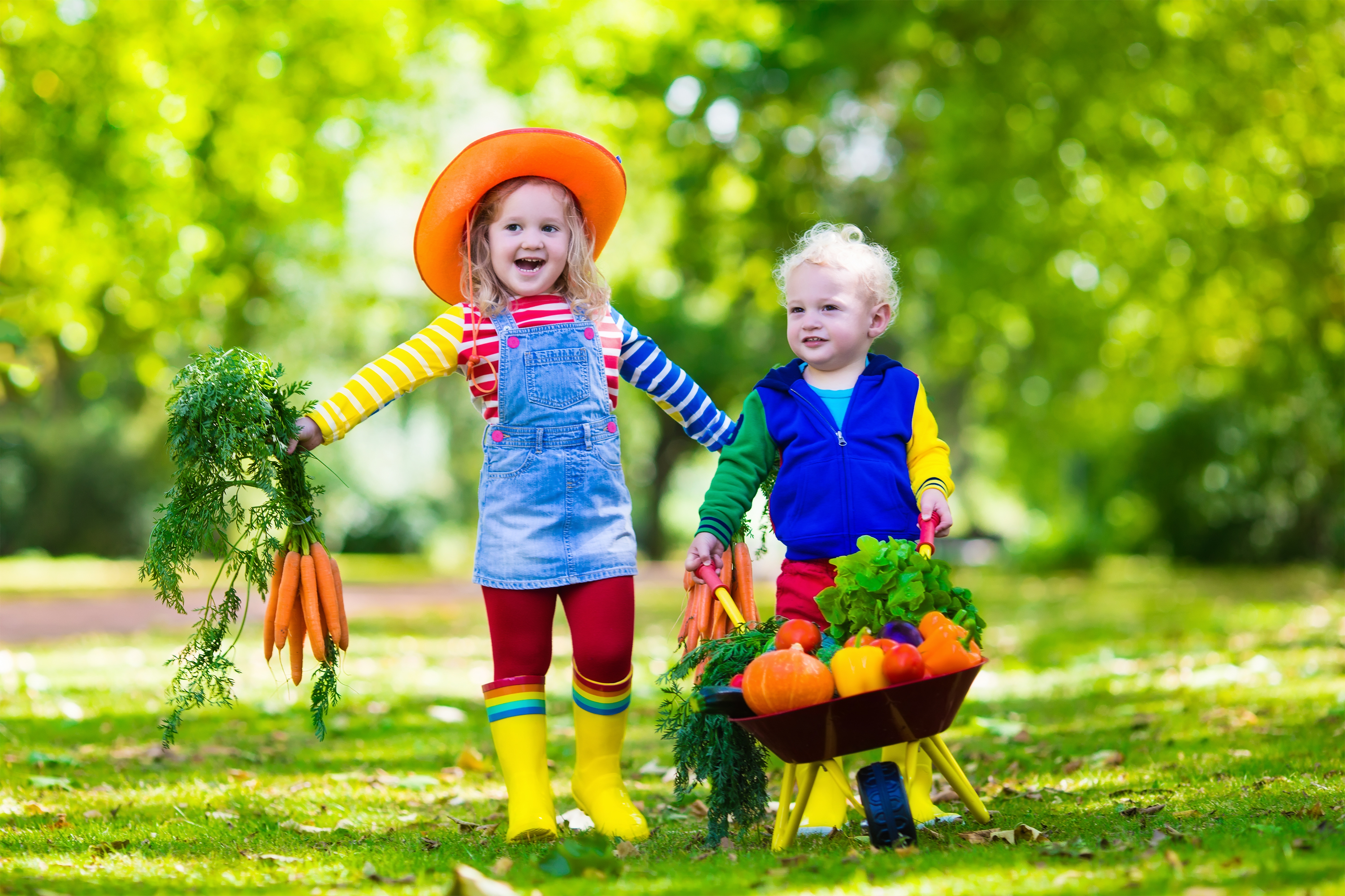 Kids Picking Vegetables On Organic Farm